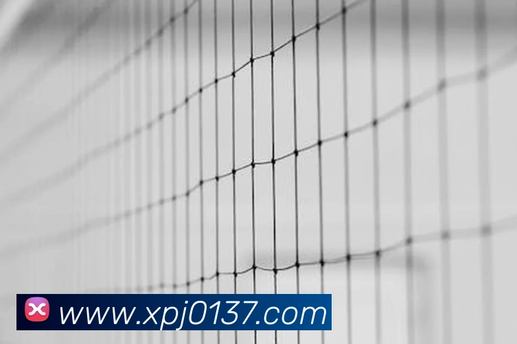 奖项4